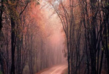 中国轮椅击剑队收获团体项目两金央视网.