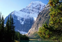 中国男子体操运动员肖若腾,已任北京先农坛体校副校长中国青年报.