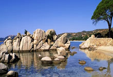 3胜0负!孙颖莎独取两分立功,国乒第一美女遭逆转,莎莎抢五真稳.